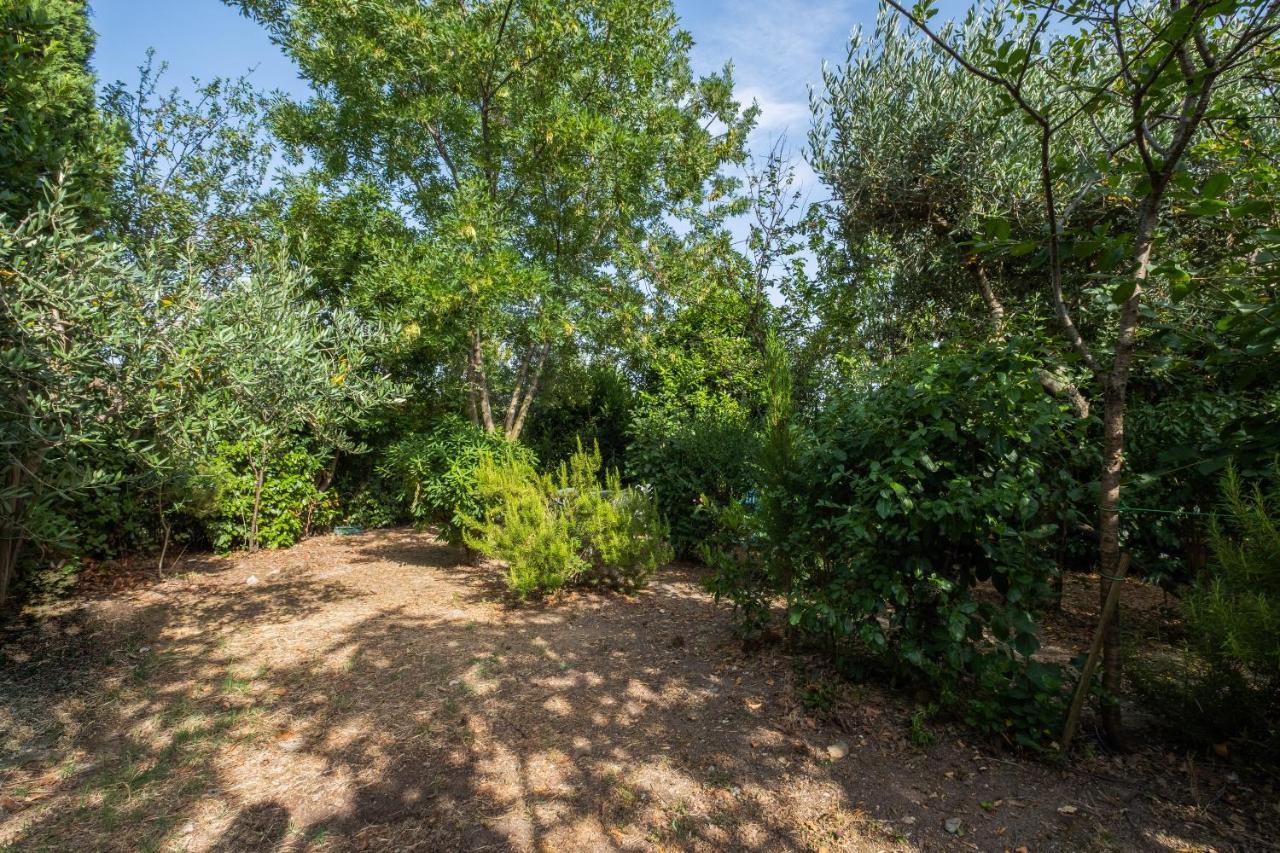 Apartamento La Sosta Del Pellegrino Sorano  Exterior foto